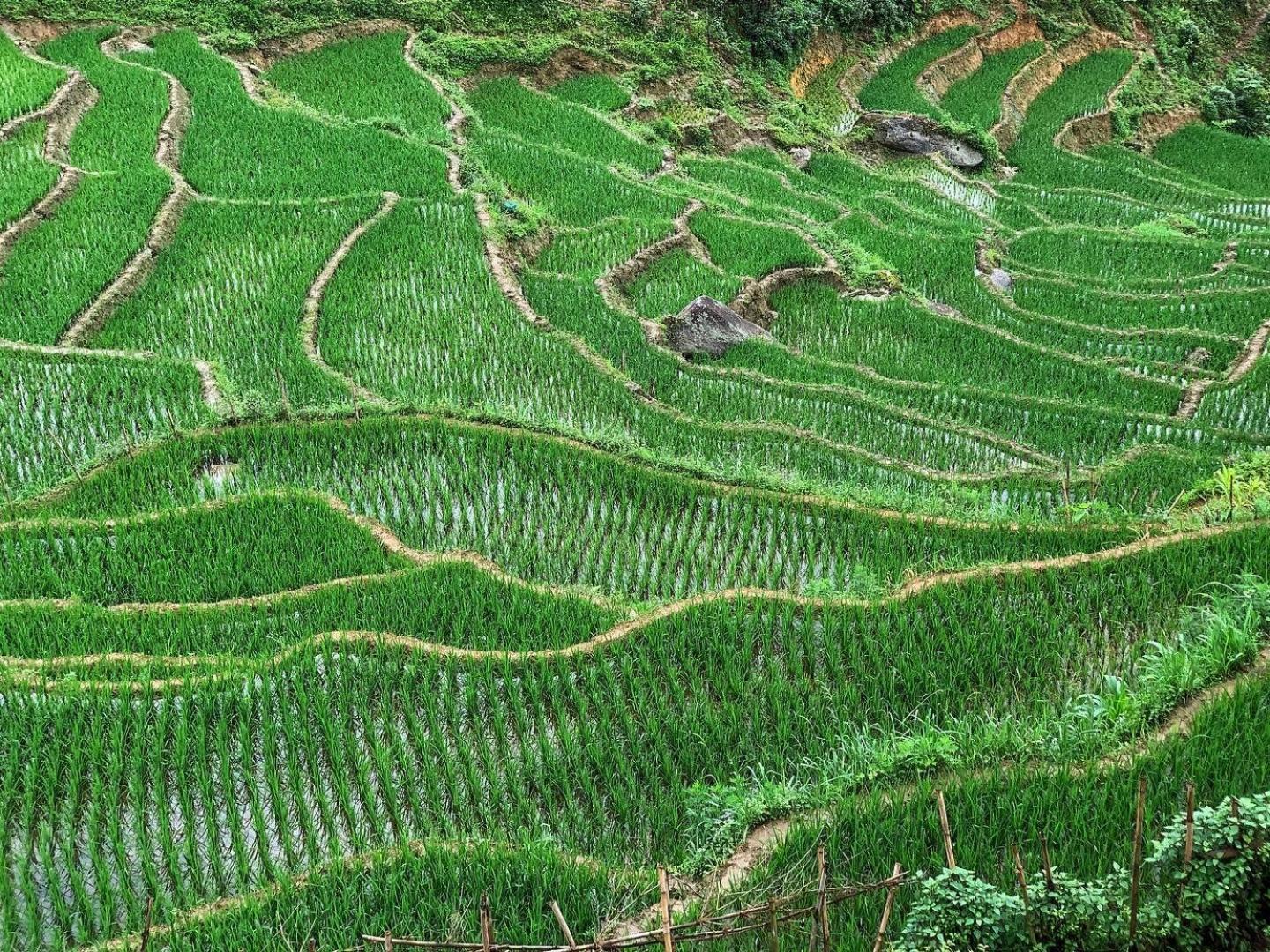 Bed and Breakfast La Rosa House Sapa Exterior foto
